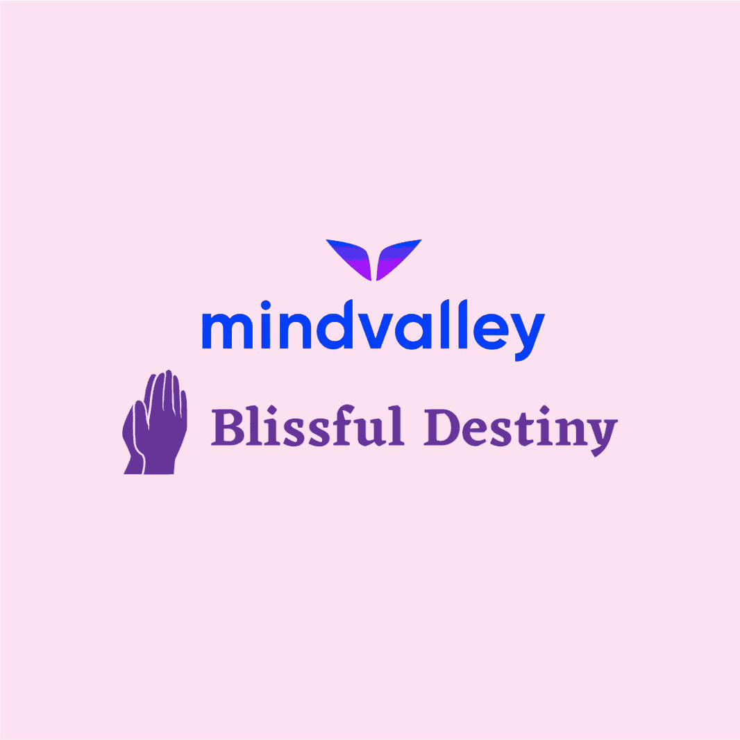 mindvalley preview